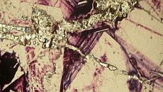 Gritarán las piedras. El azar y la necesidad en la evolución mineral