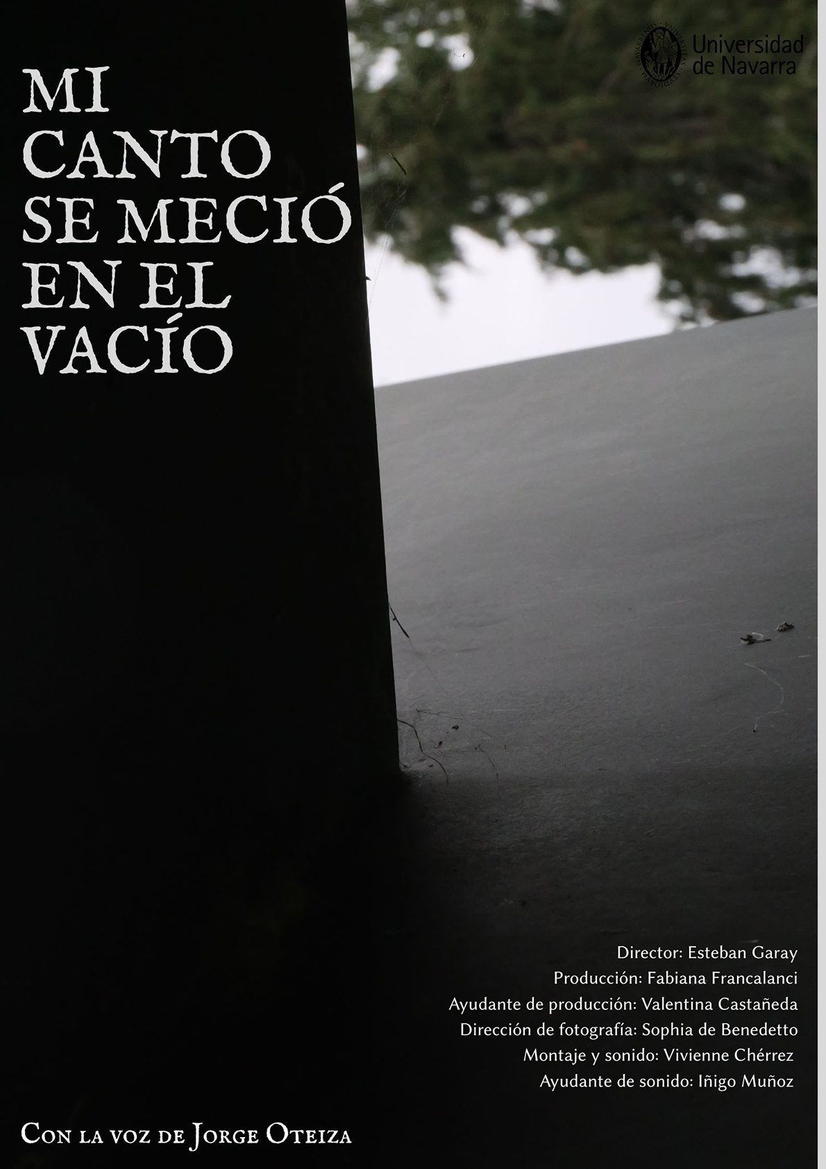 Mi canto se meció en el vacío