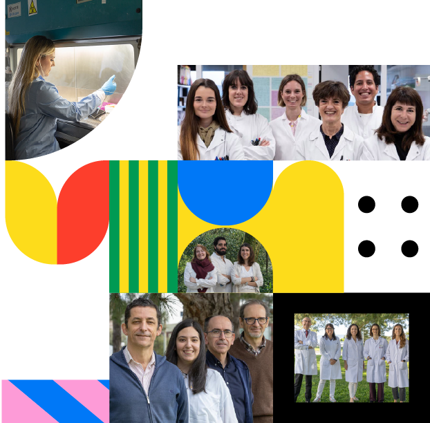 Investigación