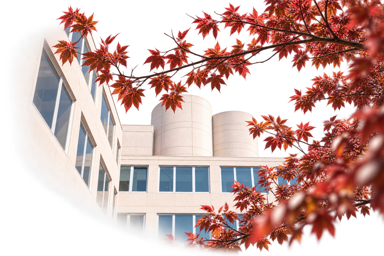 University of Navarra