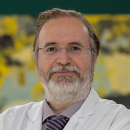 Manuel Alegre
