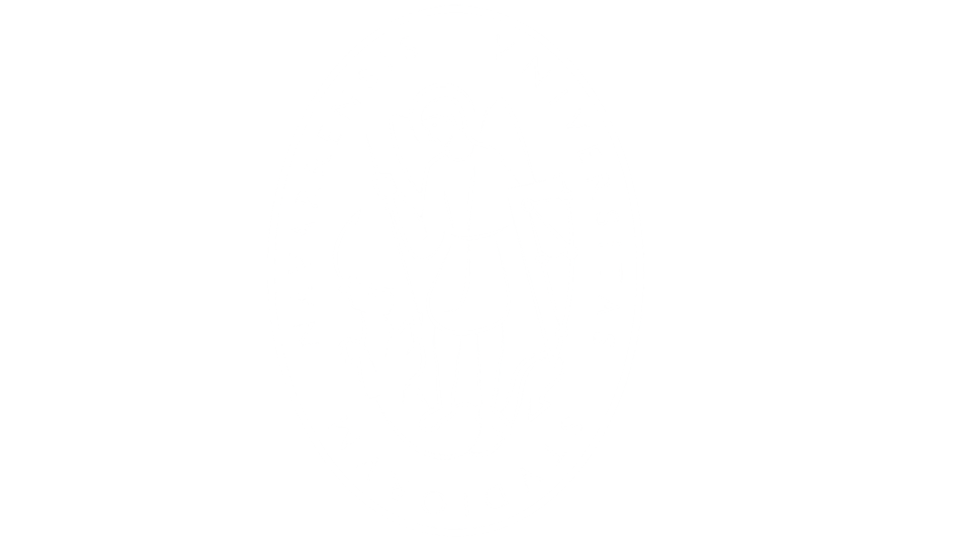 Escudo UNAV