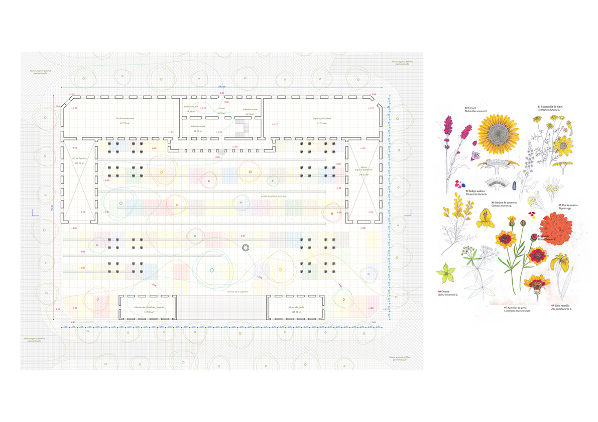 Proyecto de Ana Fernández Moraleda