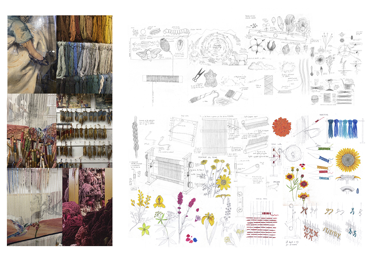 Proyecto de Ana Fernández Moraleda