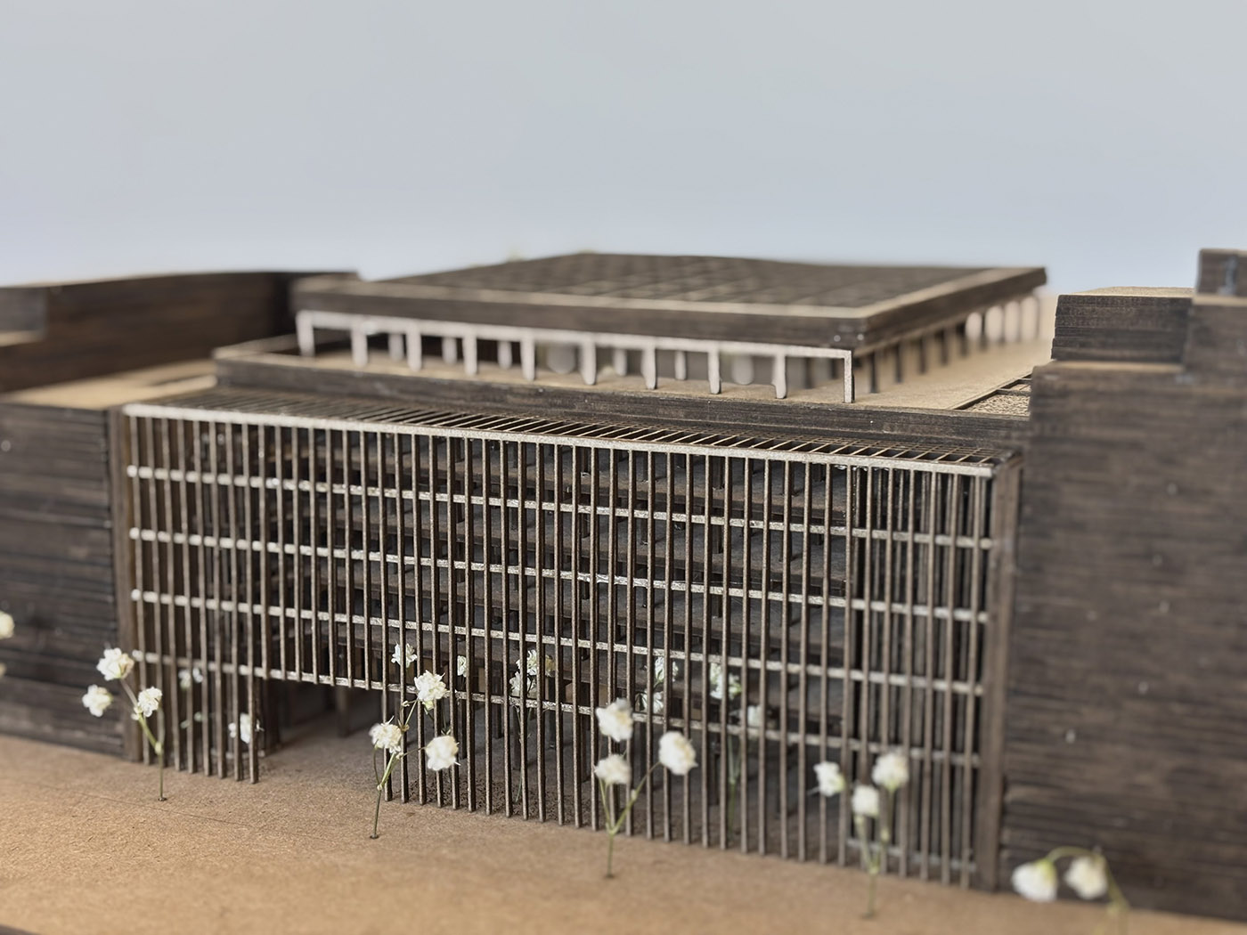 Proyecto de Carlos Jiménez Aldaba