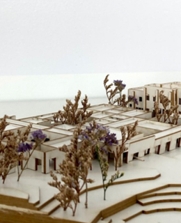 Ver proyecto "Escuela de cocina, residencia y comensalidad"