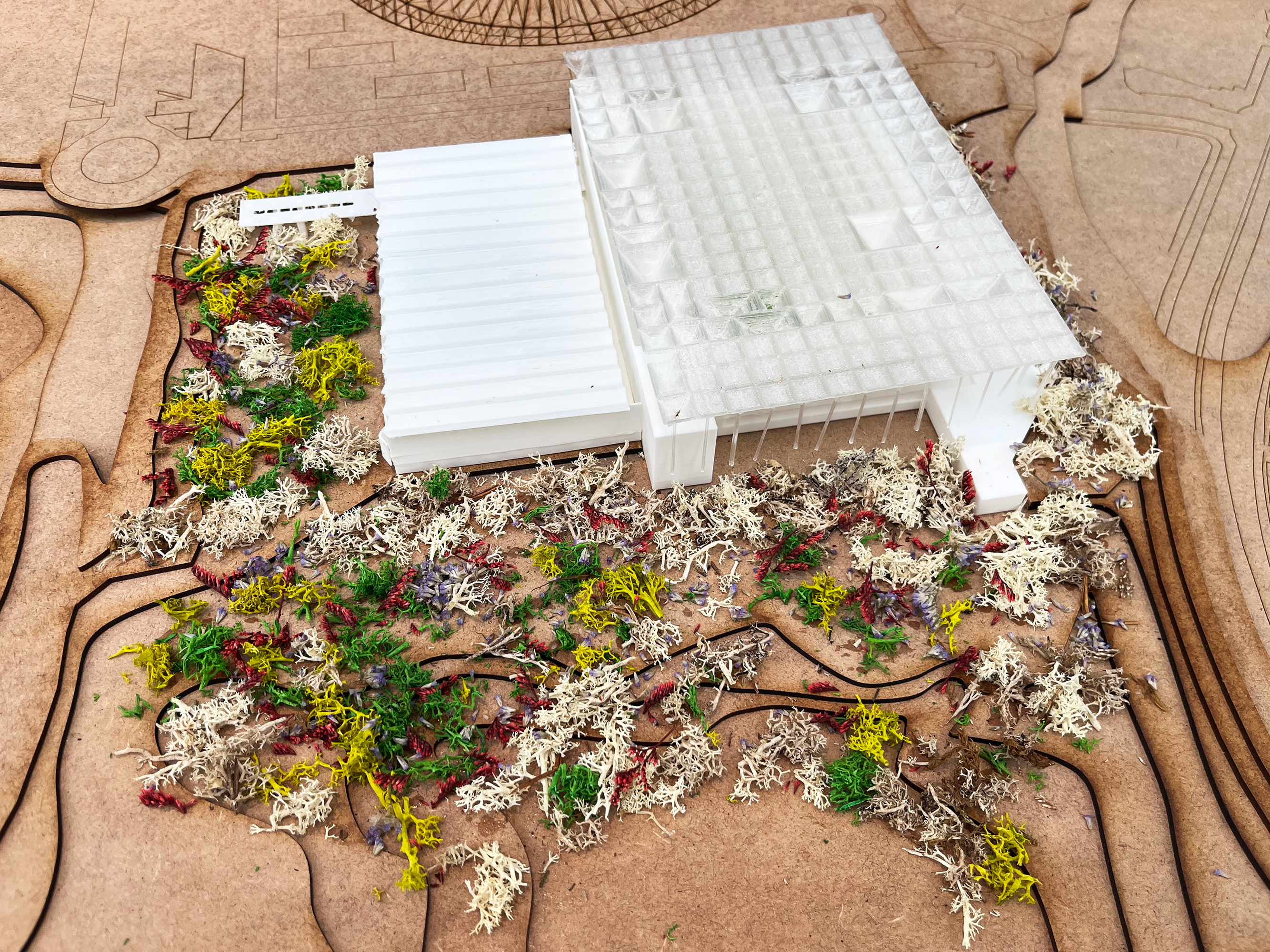 Proyecto de Sabina Benedetti Lara