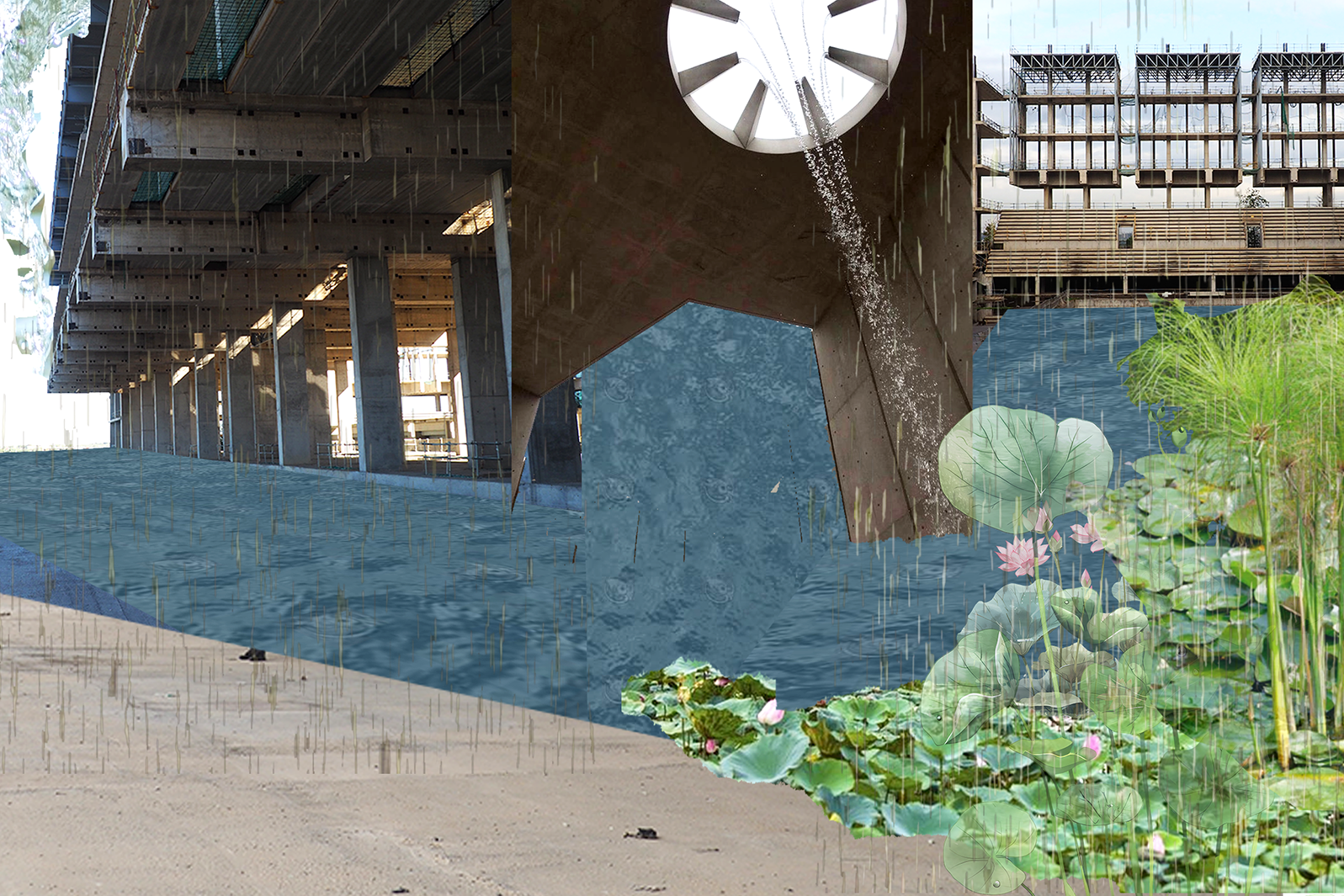 Proyecto de Sabina Benedetti Lara