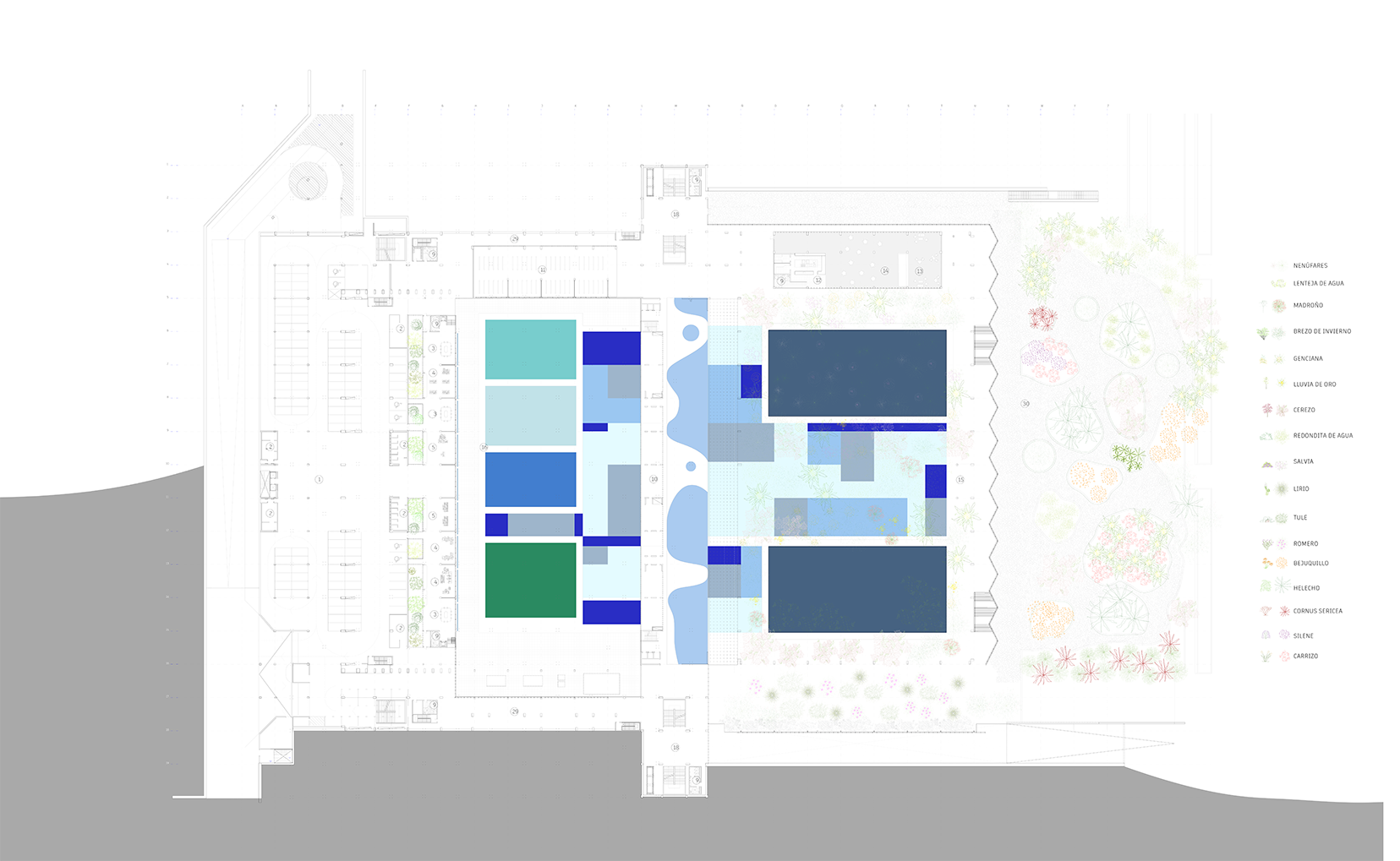 Proyecto de Sabina Benedetti Lara