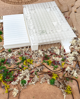 Ver proyecto "La Esponja - Centro de Fitorremediación y Jardín Botánico"