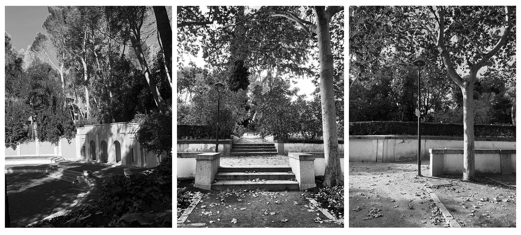 Proyecto de Sofía Aldama Ingham