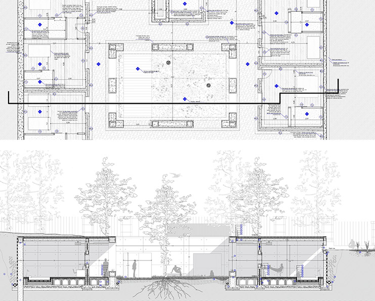 Proyecto de Sofía Aldama Ingham