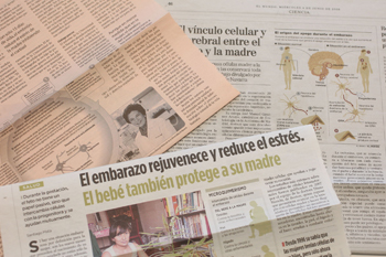 Descripcion de la imagen