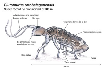 Descripcion de la imagen