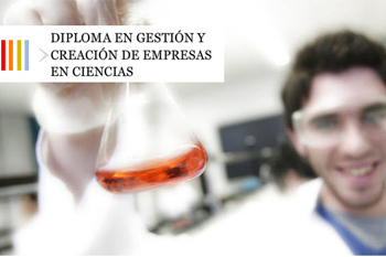 Descripcion de la imagen
