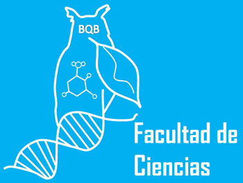 Descripcion de la imagen