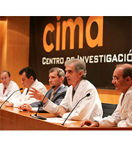 Descripcion de la imagen