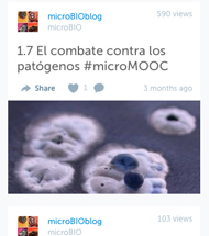 Descripcion de la imagen